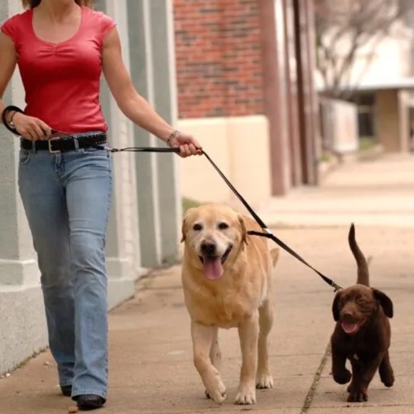 Sporn Double-Dog™ Leash - Picture 3 of 10
